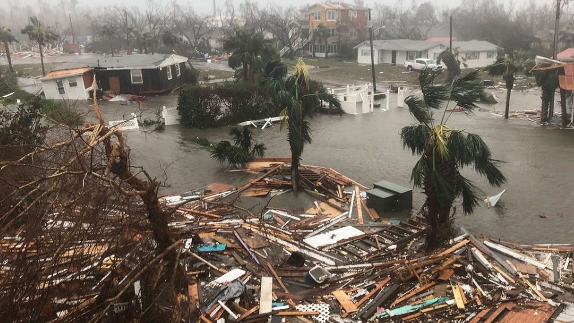 Monster Hurricane Michael Causes Chaos In Florida 