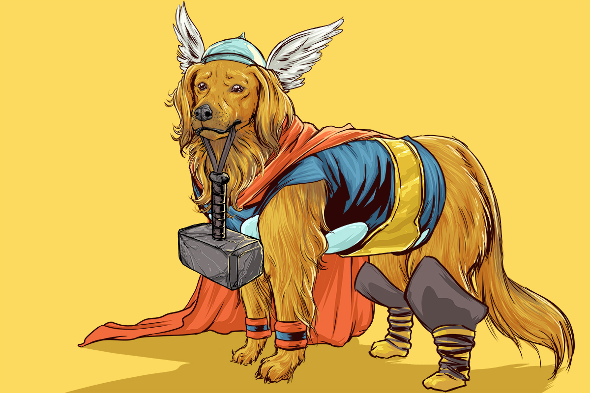 Собака Супергерой