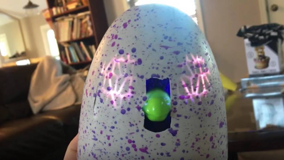 hatching a hatchimal