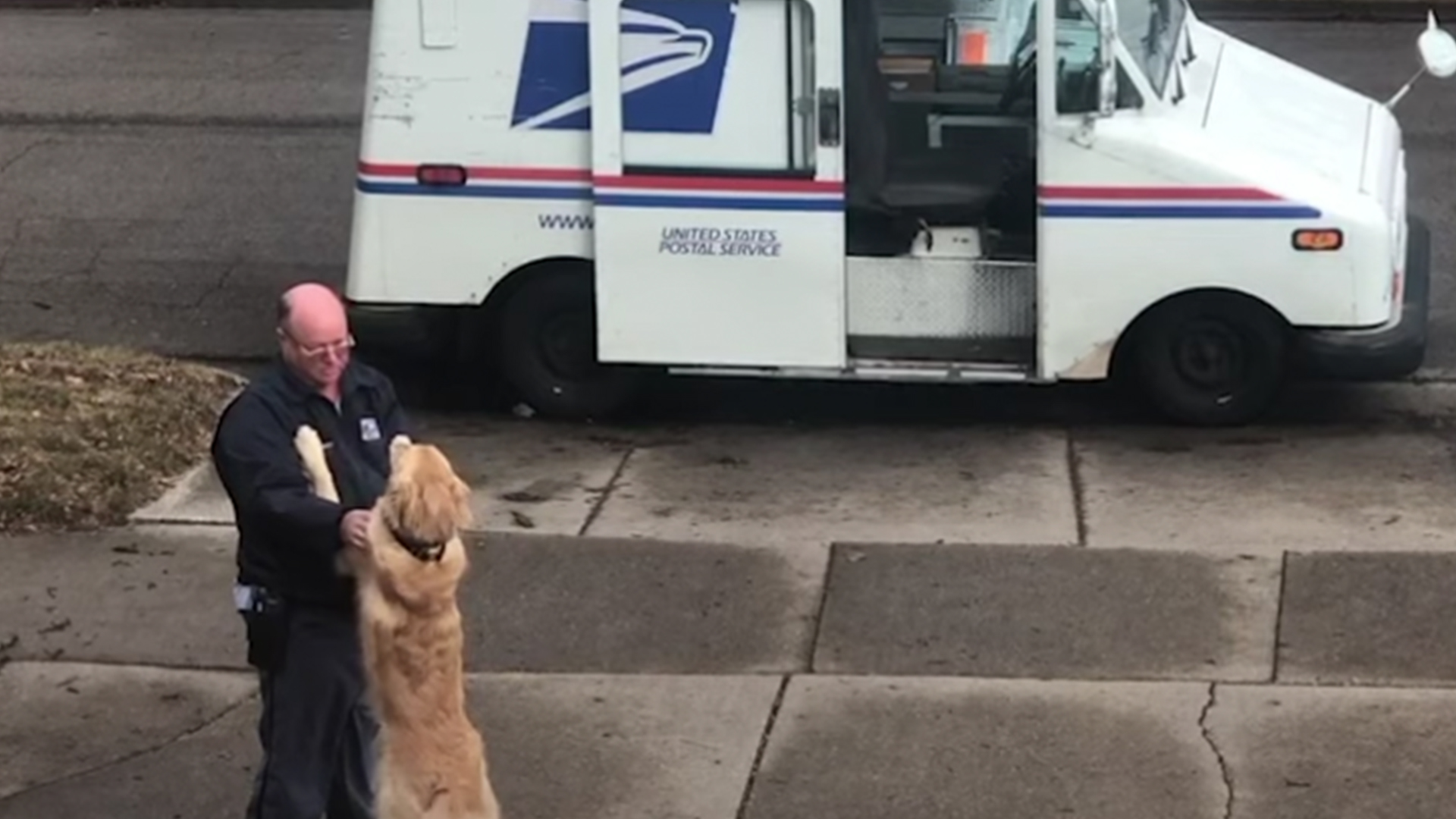 Dog And Mailman Share Adorable And Unlikely Friendship | RTM ...