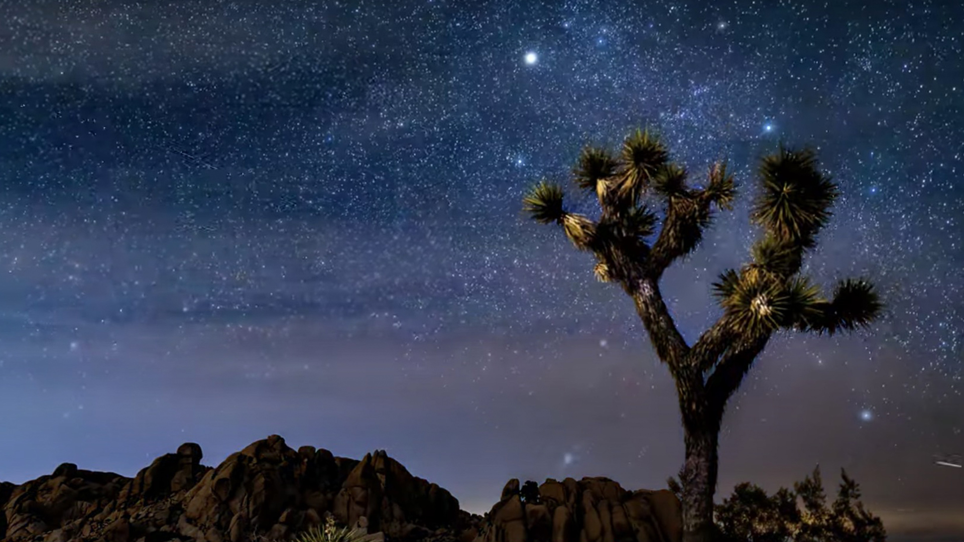 Stunning Footage Of The Milky Way Above Joshua Tree National Park Rtm