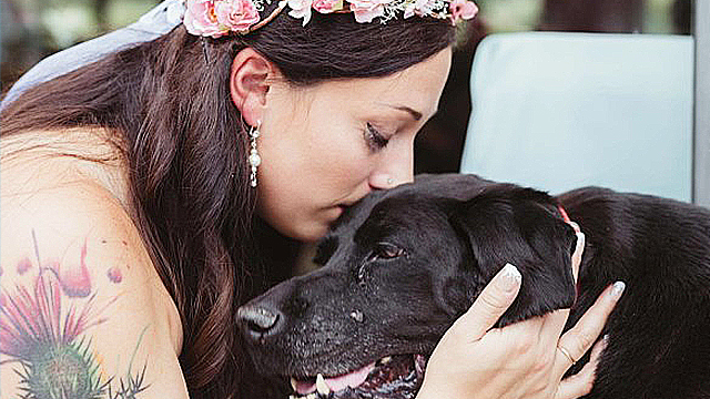 dog-with-brain-tumor-walks-his-owner-down-the-aisle-rtm-rightthisminute