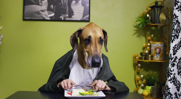 Dogs With Human Arms Enjoy a Delicious Feast at the Dinner Table | RTM ...
