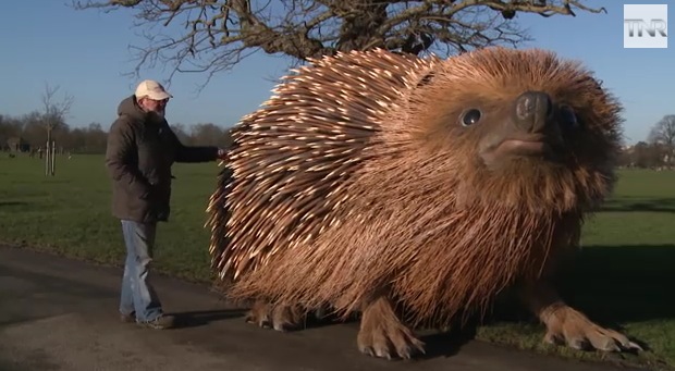 large cuddly hedgehog