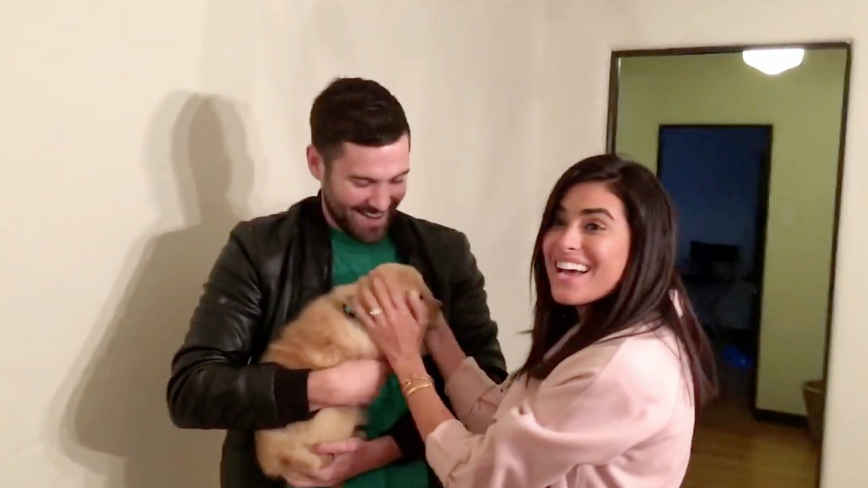 Husband Brings Home Puppy To Surprise His Wife RTM RightThisMinute