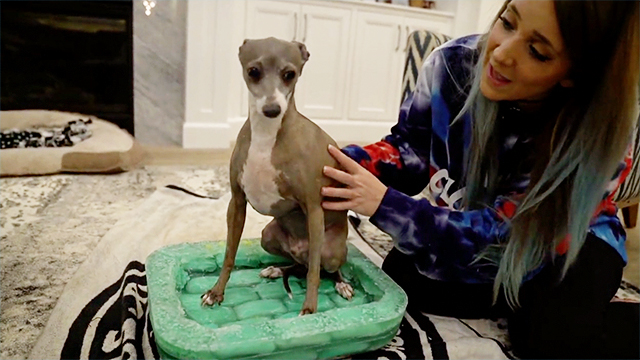 Jenna Marbles Reluctantly Labors Over Dog's Soap Bed | RTM ...