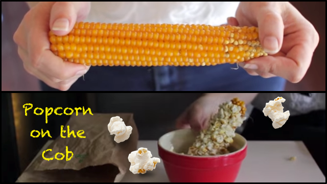 Simple & Delicious Popcorn On The Cob Recipe | RTM - RightThisMinute