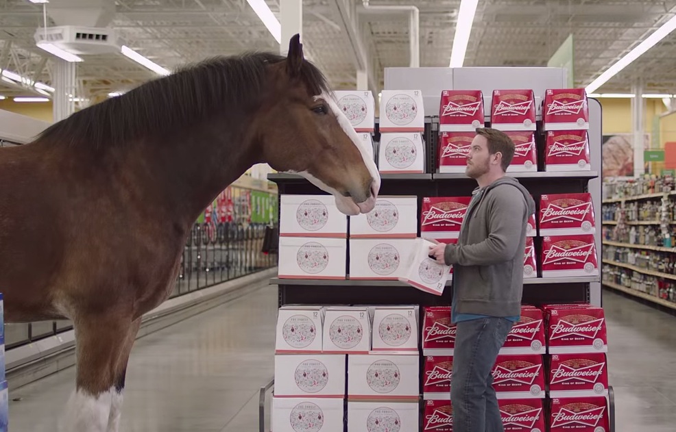 Budweiser Clydesdales Peer Pressure in Super Bowl Commercial RTM