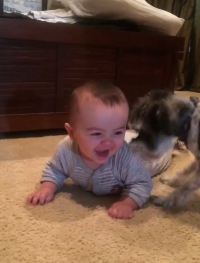 Playful Dog Makes Baby Laugh Hard | RTM - RightThisMinute